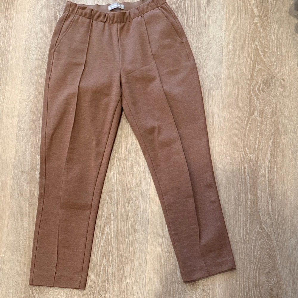 Everlane Women's Brown Ankle Pants